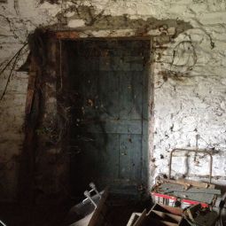 11658991_10155719418390065_1414952435_o