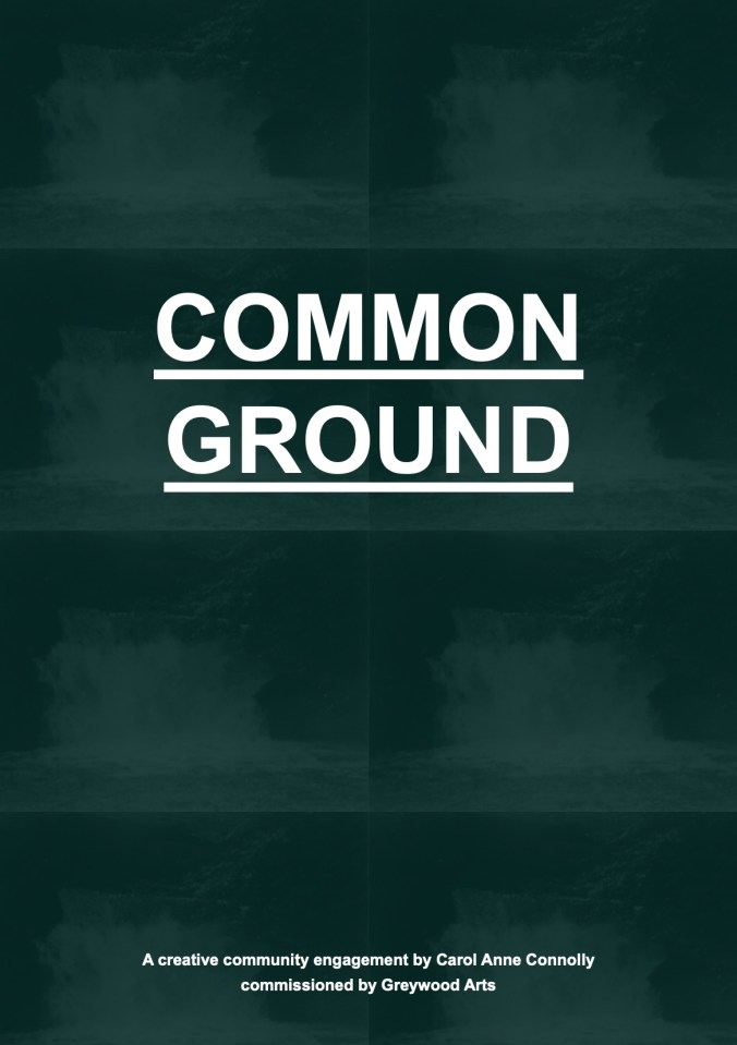 Common Ground Web 1