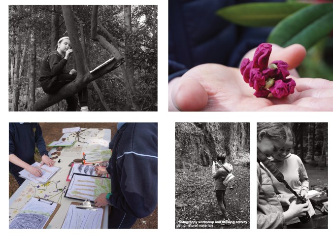 Common Ground Web 13