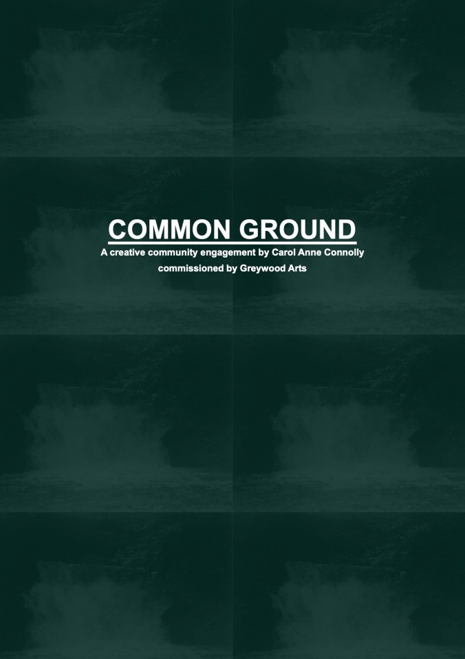 Common Ground Web 17