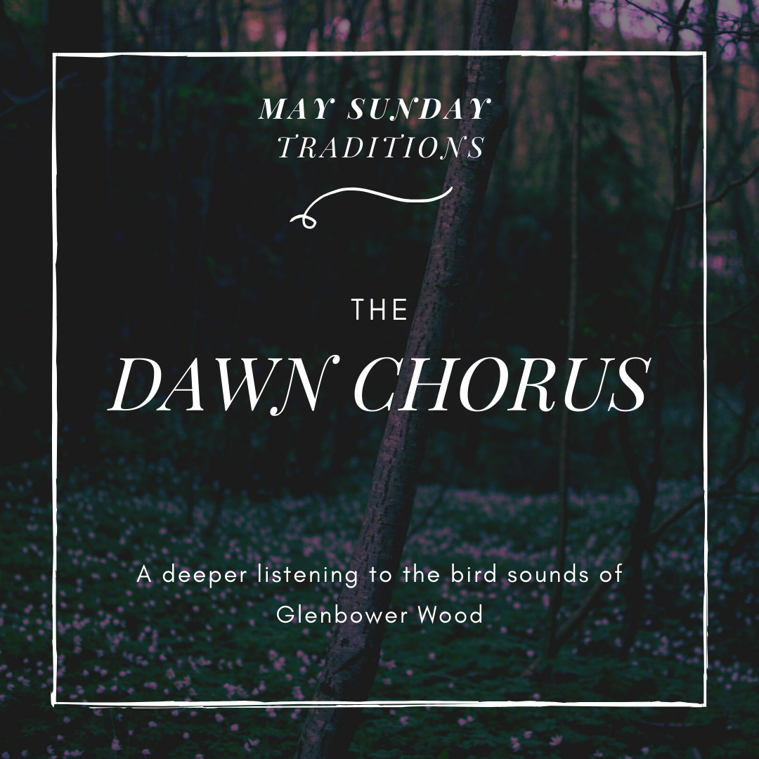 Mountain Photo Earth Hour Instagram Post