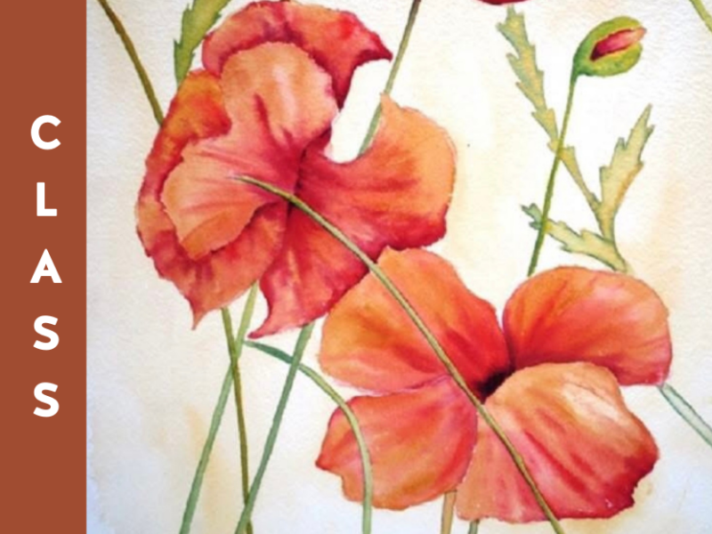 Watercolour: March 4-25